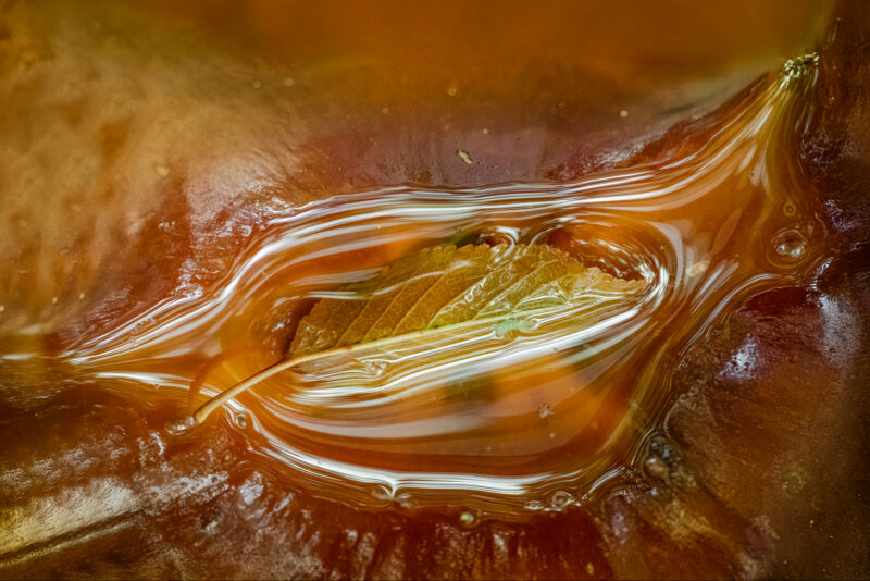 Fotoclub Macro Creatief022-bewerkt